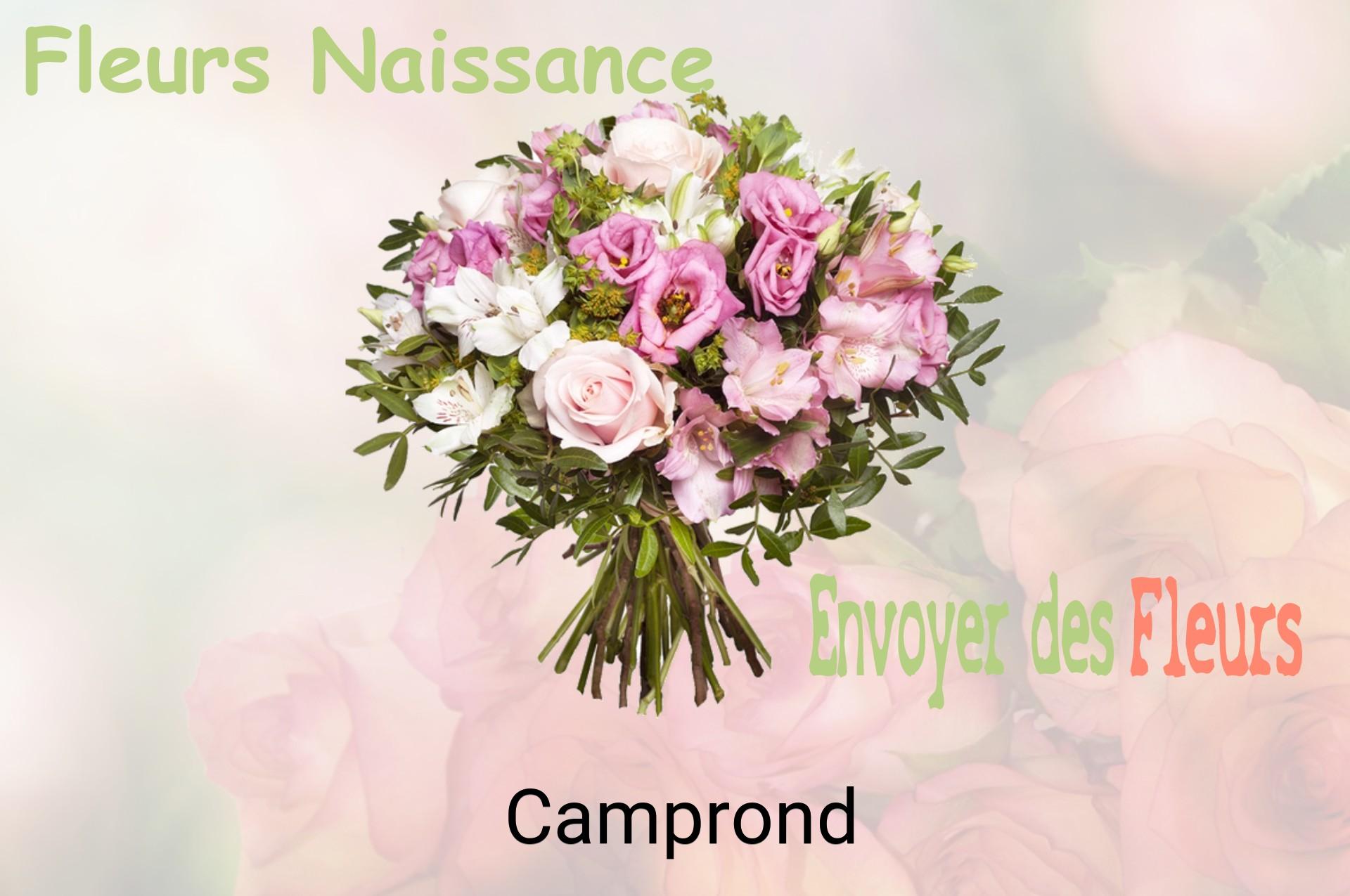 Bouquet de fleurs de naissance livré à Camprond